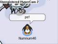 Enguin the penguin sneak beak