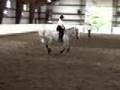 Cantering