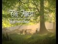 El documental alemán 'The Forest', premiado en Telenatura de la Universidad de Navarra