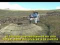 El BIOL - Abono Líquido Orgánico