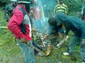 Click here to watch this video TPN/OPM Yahukimo.