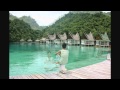 View Video
