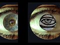 Second Sight ~ art as meditation
