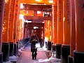 at Fushimi Inari Shrine, 6th of Dec 2008.Fushimi Inari(located in Kyoto,Japan) is really famous for its shrine with an endless number of red gate.