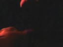Sexorcist - Nuke 'em All