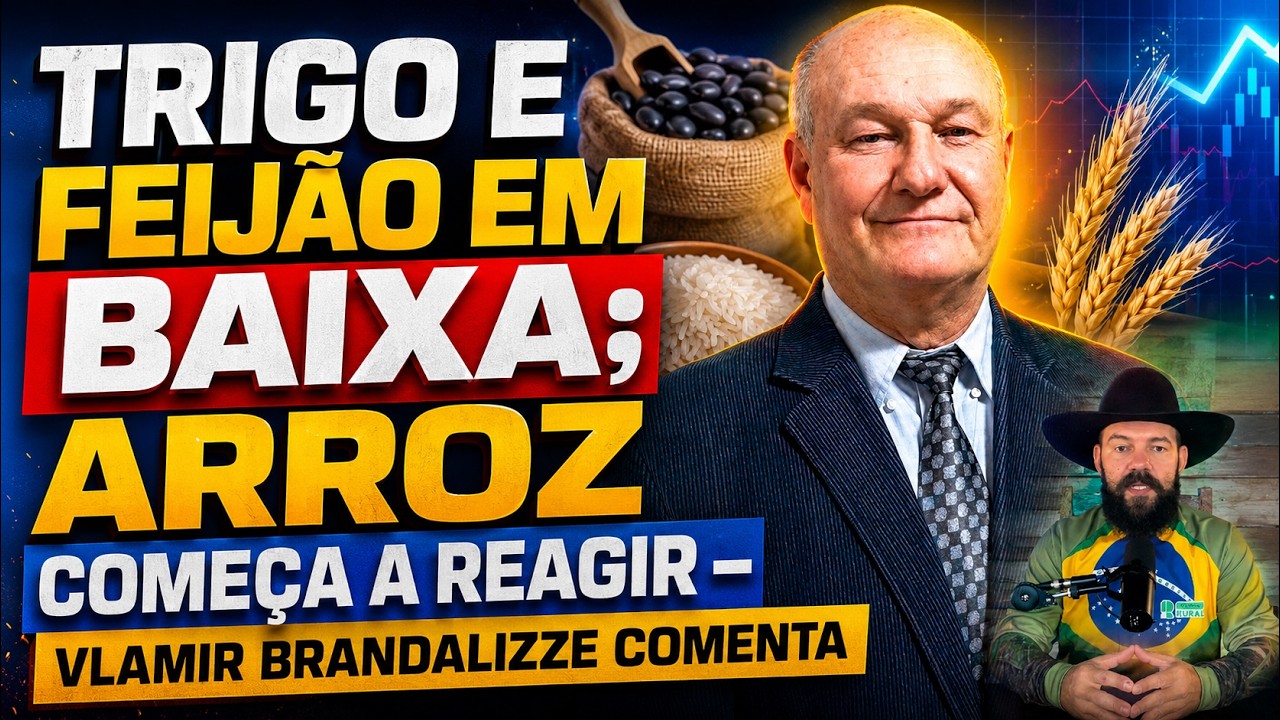Trigo e feijão em baixa; arroz começa a reagir – Vlamir Brandalizze comenta.