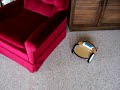 Autonomous Robot