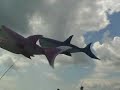 Ein kleines Video vom 28. International Kite Festival Cervia, Italien. Ein FEstival was einen ganz besonderen Charme hat. Doch seht selbst.
Mit schöner Hintergrund Musik von Alexander Siebert.