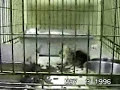 YouTubeサムネイル[R5IA_23gvm0] - 3枚目