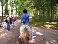 Galopperen in PPC op mist & pooh