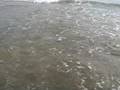 videos de Stripers pushing bait