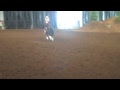 Champion Gator and Wylene Wilson