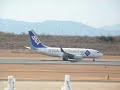 ANA Business Jet ANA Business Jet