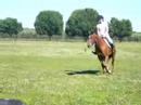 Kat and Moe Flat work Kat and Moe Flat work