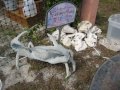 DeniseClarke says Bimini Sands Condo 10B - YouTube http://ping.fm/VpsXD