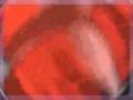 videos de Ambiguity -  Eddie &  the Whistlers