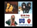 Dog tag and cat tag or pet tag $299 mailed