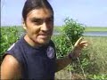 chileno luis andaur y su lucha contra una anaconda de ocho metros