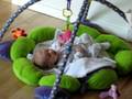 videos de Dina 6