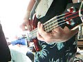 Ted Nugent Writing on the Wall bass cover