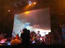 flaming lips summercase 2007 madrid yeahyeahyeah