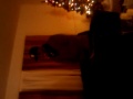 video-2009-12-20-00-12-53.3gp