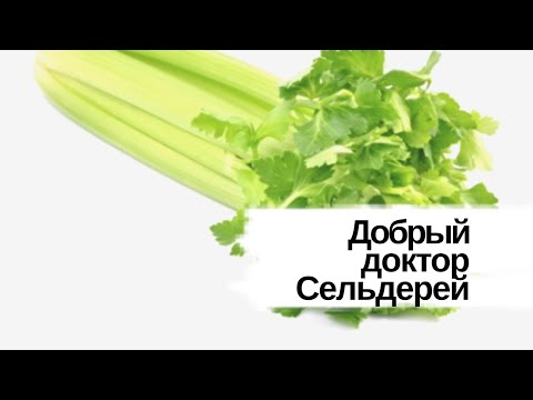 YouTube Трейлер
