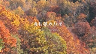 奥利根の紅葉