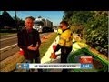 Impact of the NBN