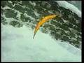 Remi 27 El pasado de Vitalis 1 3 DVDRIP Audio Latino