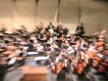 FESTIVAL PUREPECHA  MICHOACANO 2008