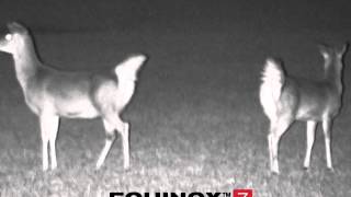 Minn Kota Talon Tilt Bracket For/10' & 12' Models - Marine Grade/Aluminum