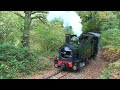 Leaves on the Line - Weshpool & Llanfair Railway