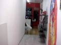 videos de se mi lienzo, tattoo