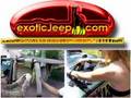 Exotic-Roll-Bar-Stra