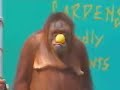 Если вы не посмотрели - зря прожили жизнь.mp4