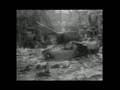 Der Ungarn Aufstand (1956)