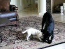 Charley & Maggy 2