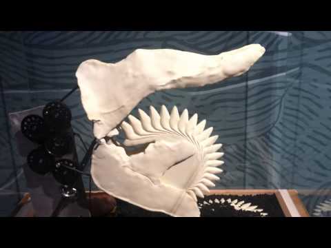 exhibit explores idahos buzzsaw jaws exhibit explores idahos buzzsaw jaws