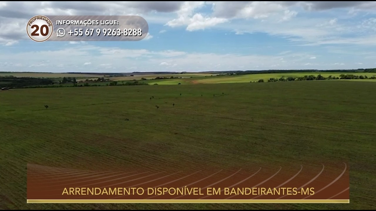 Terralmo 20: Arrendamento disponível em Bandeirantes/MS