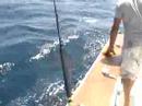 Nick caught blue marlin in Mexico