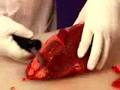 Sirloin Tip Roast - www.squidoo.com/meatshop