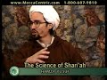 Ugly Evil Fornication - Hamza Yusuf