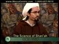 Ugly Evil Fornication - Hamza Yusuf