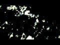 Text Of Light - Lee Ranaldo & Stan Brakhage View Video