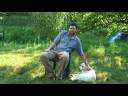 Dog Diseases: Prevention & Treatment : How to Detect & Prevent Bloating & Torsion in Dogs