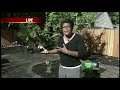 Check Out This Yard Makeover Check Out This Yard Makeover