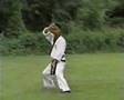 Hapkido