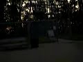 Video 51