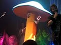 Tenacious D - Tweeter Center Papagenu Mushroom Dance Tenacious D - Tweeter Center Papagenu Mushroom Dance